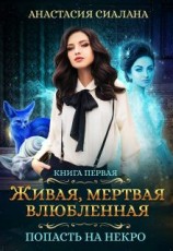 читать Попасть на Некро