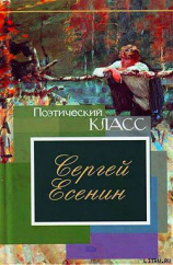 читать Стихотворения, поэмы