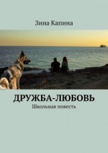 читать Дружба-любовь. Школьная повесть