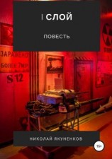 читать I слой
