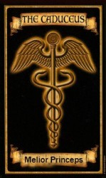 читать Кадуцей. Между жизнью и смертью