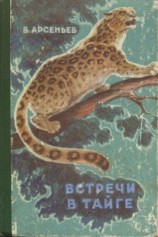 читать Встречи в тайге