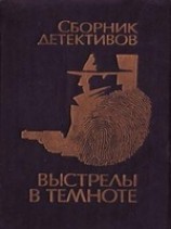 читать Выстрелы в темноте