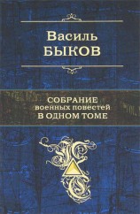 читать Собрание военных повестей в одном томе