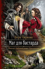читать Маг для бастарда