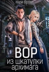 читать Вор из шкатулки архимага