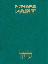 читать Сын Америки