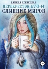 читать Перекресток 177-3-14. Слияние миров