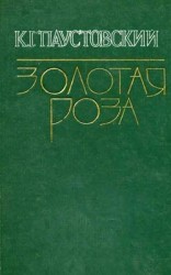 читать Беглые встречи