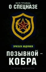 читать Позывной – Кобра. Записки «каскадера»