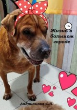 читать Жизнь в большом городе