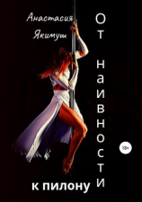 читать От наивности к пилону