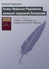 читать Князь Иероним Радзивилл, великий хорунжий Литовский