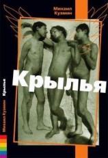 читать Стальные руки-крылья