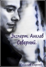 читать Эксперт. Анклав Северный.(Книга 2)