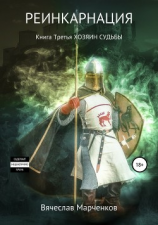 читать Реинкарнация. Книга третья. Хозяин судьбы