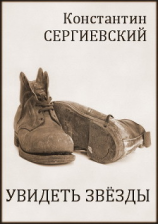 читать Увидеть звезды