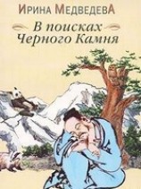 читать В поисках Черного Камня
