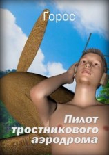 читать Пилот тростникового аэродрома
