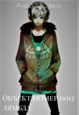 читать Объект номер 0013 лямбда (супериор)