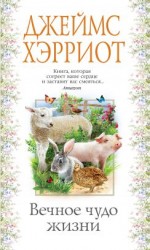 читать Вечное чудо жизни