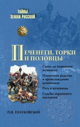 читать Печенеги, торки и половцы