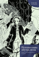 читать Путешествие внутрь иглы. Новые (конструктивные) баллады