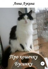 читать Про кошечку Бусинку