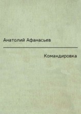 читать Командировка