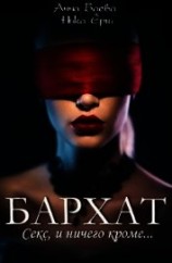 читать Бархат. Секс, и ничего кроме