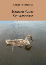 читать Записки Кота-Супервизора