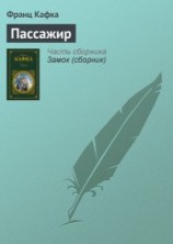 читать Пассажир