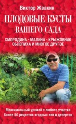 читать Плодовые кусты вашего сада