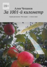 читать За 1001-й километр. Серия рассказов: «Что видел  о том и пою»