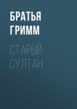читать Старый Султан