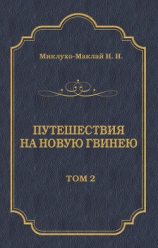 читать Путешествия на Новую Гвинею (Дневники путешествий 18741887). Том 2