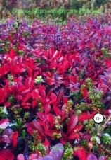 читать Волны коронавируса в России. Дневники