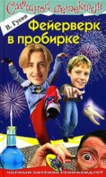 читать Фейерверк в пробирке