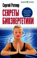 читать Секреты биоэнергетики. Указатель к богатству и успеху в жизни