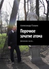 читать Порочное зачатие атома. Дополняю число