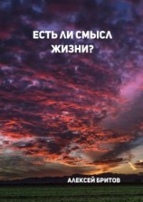 читать Есть ли смысл жизни?