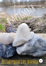 читать Несовершенство формы