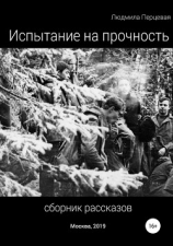 читать Испытание на прочность. Сборник рассказов