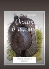 читать Ослик в шляпе. Книги детям о планете