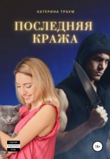 читать Последняя кража