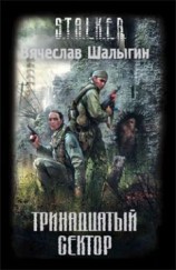 читать Тринадцатый сектор