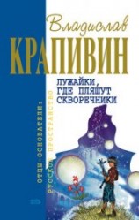 читать Бабушкин внук и его братья