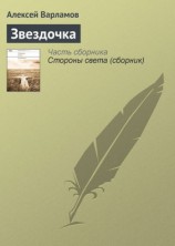читать Звёздочка