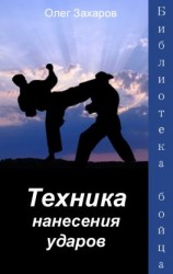 читать Техника нанесения ударов