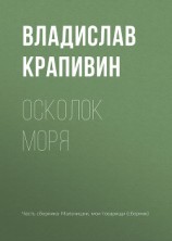 читать Осколок моря